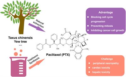 Nanodrugs systems for therapy and diagnosis of esophageal cancer